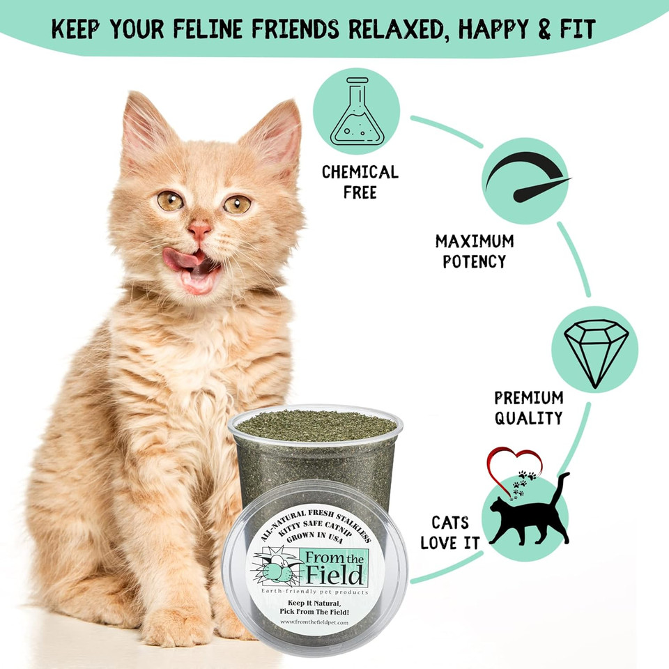From The Field | Fine Ground Stalkless Catnip | Premium Usa-Grown Catnip For Toys & Playtime | Fresh, Potent, Non-Toxic, Eco-Friendly | Safe For Kittens & Cats | Resealable 10 Oz Bag