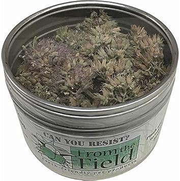 From The Field | Premium Whole Catnip Buds For Cats | Organic, Usa-Grown, Fresh & Potent | Natural, Eco-Friendly Cat Treat For Play & Relaxation | Catnip For Indoor Cats | Resealable 0.4 Oz Can