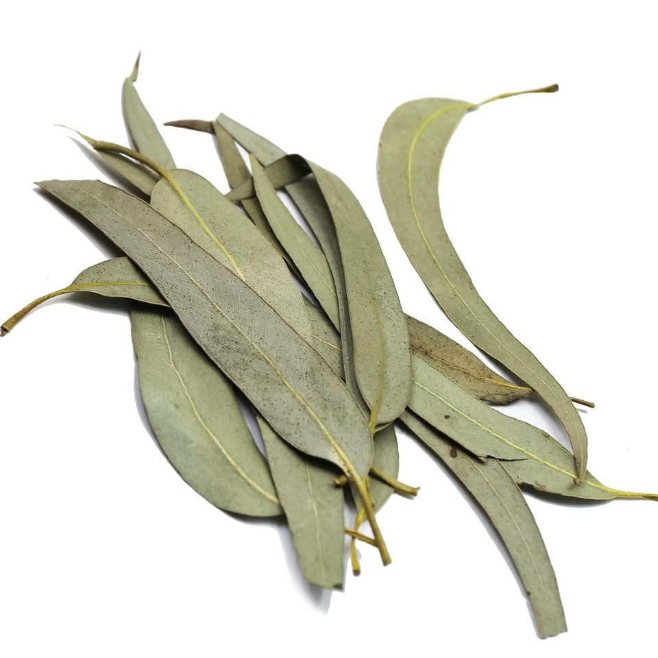 Fullchea - Dried Eucalyptus Leaves - 4Oz/114G - Hojas De Eucalipto - Premium Chinese Dried Eucalyptus Herb Whole Leaf - Non-Gmo - Caffeine-Free - Easy Breathing Support