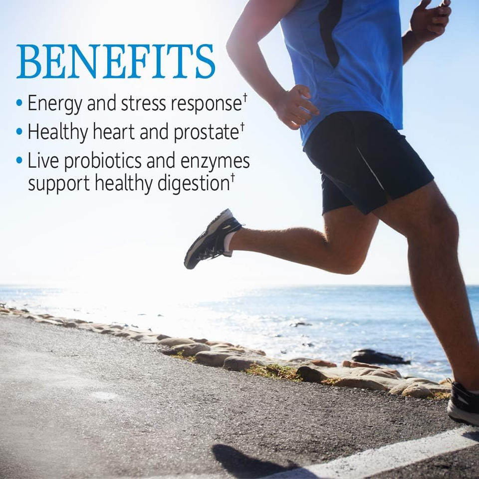 Garden Of Life Multivitamin For Men, Vitamin Code Raw One - Once Daily, Vitamins Plus Fruit, Veggies & Probiotics, 75 Count