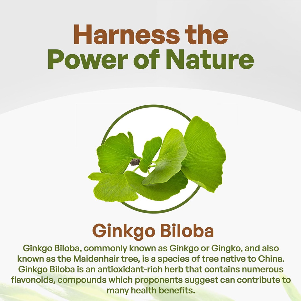Go Nutra Ginkgo Biloba Extract Powder 10:1 Extra Strength Ginkgo Leaf | 8 Oz. Pure Non-Gmo
