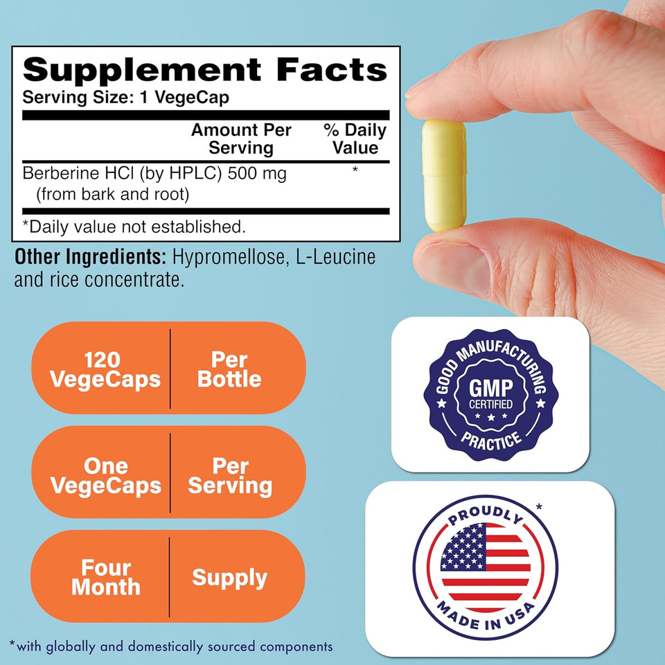 Health Thru Nutrition Berberine Hcl 500Mg 120 Servings | Clinical Strength Supplement | Certified Vegan | Non-Gmo | Soy Free | 3Rd Party Tested