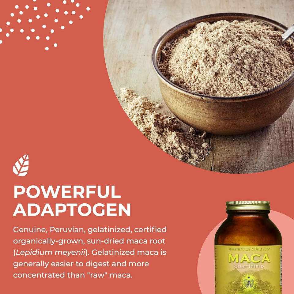Healthforce Superfoods Gelatinized Maca - 8 Oz Powder