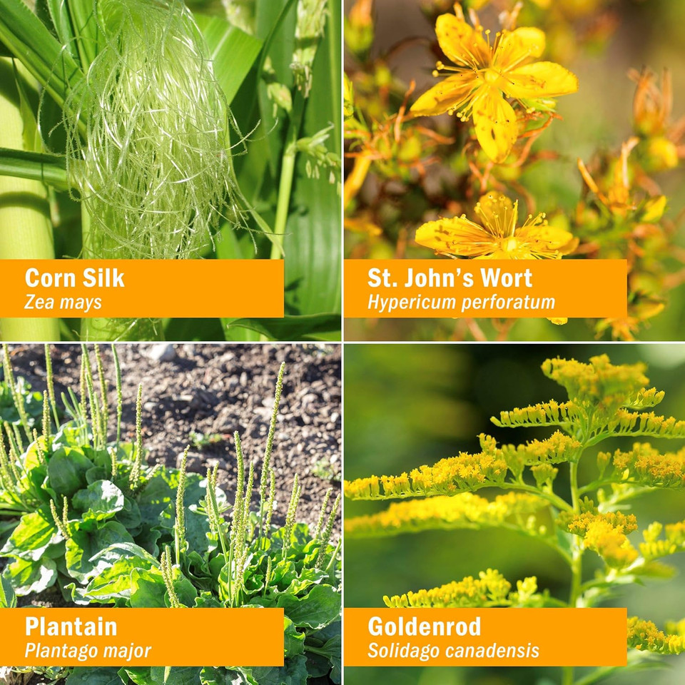 Herb Pharm Calm Bladder Liquid Formula For Urinary System Support - 1 Ounce