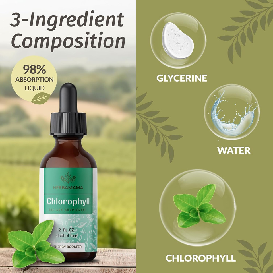 Herbamama Chlorophyll Liquid Drops - Vegan Chlorophyllin Extract For Detox & Cleanse - Non-Gmo, Alcohol & Sugar-Free Antioxidant Supplement For Immune Support, 28-Day Supply