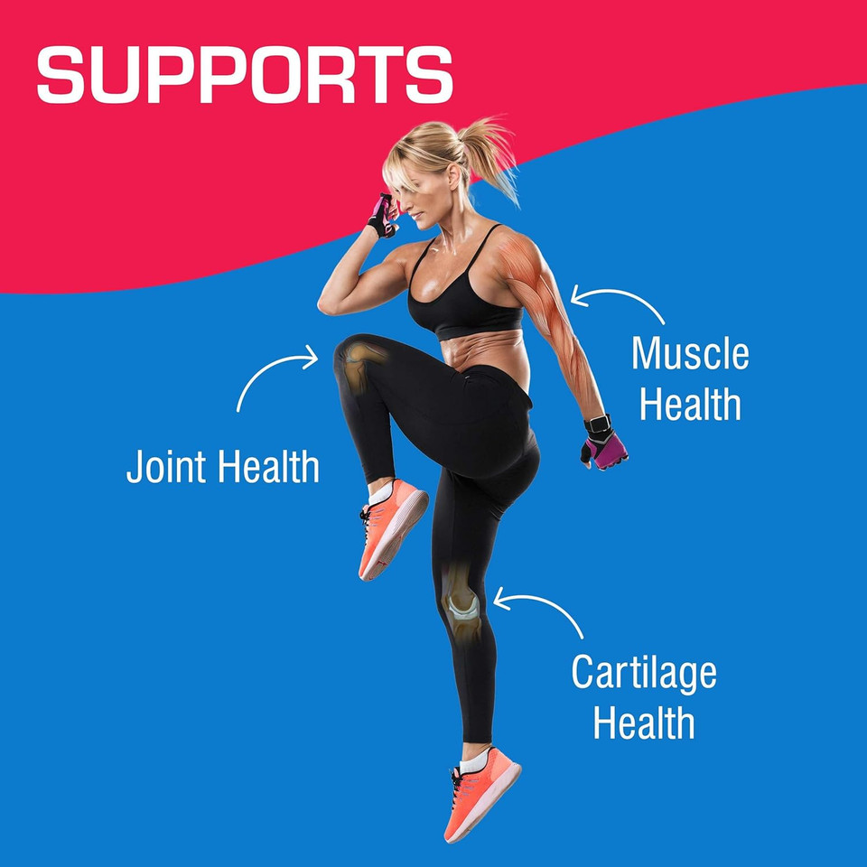 High Absorption Glucosamine Chondroitin Msm - Clinical Formula Bone Joint Tendon And Ligament Supplement With Msm Glucosamine Chondroitin - Non-Gmo Gluten Free & Made In The Usa - 120 Servings