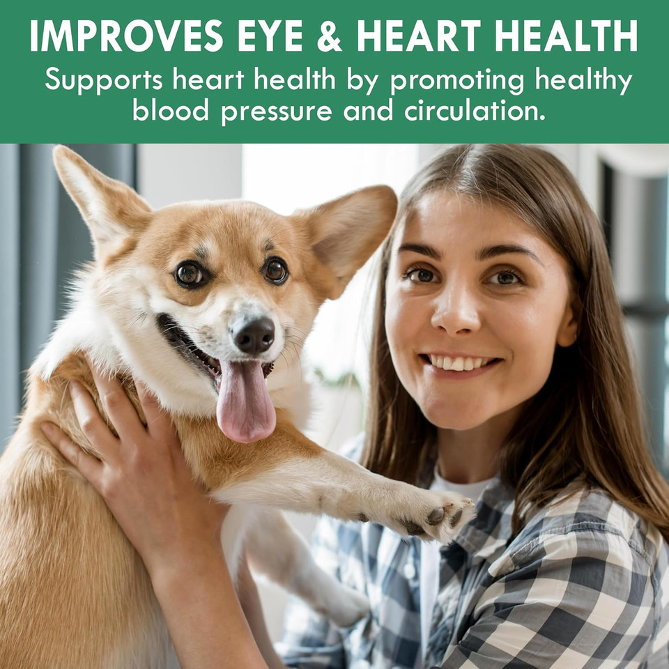 Holistic Bin Canine Gut Biome Powder  Prebiotics & Probiotics For Dogs With Enzymes  Dog Vitamins & Multivitamin For Gut Health  Enzyme Powder Supplement  For Digestive Support - 50 Grams