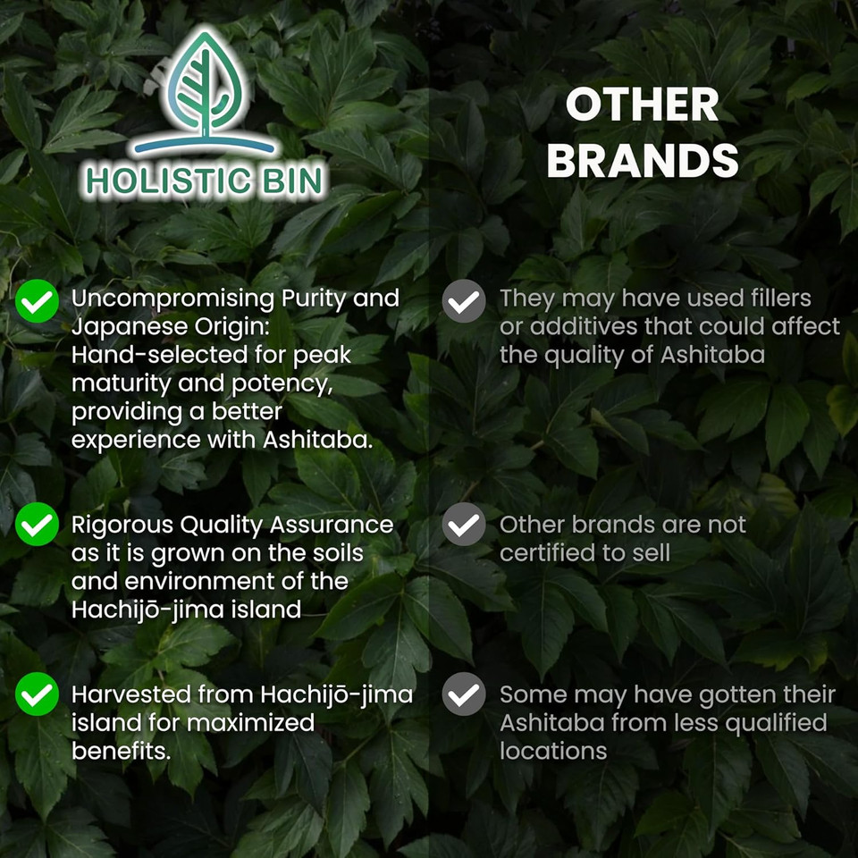 Holistic Bin Japanese Ashitaba Powder  Made With Ashitaba Leaves  Leaf Phyto Dense Chalcone  Angelica Keiskei  50 Grams