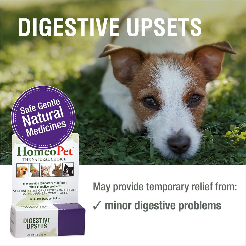 Homeopet Digestive Upsets, Safe And Natural Cat And Dog Digestive Support, 15 Milliliters