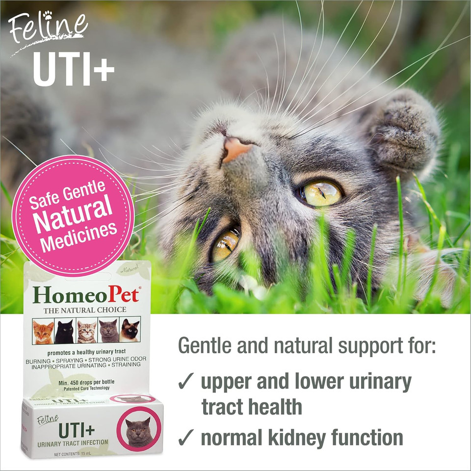 Homeopet Feline Uti Plus, Safe And Natural Urinary Tract Supplement For Cats, Feline Urinary Tract Support, 15 Milliliters