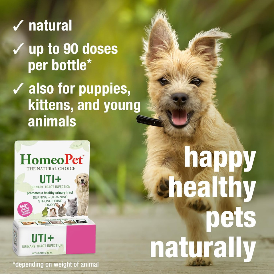 Homeopet Uti Plus Urinary-Tract Relief, Supportive Uti Medicine For Dogs, Cats, And Other Pets, 15 Ml
