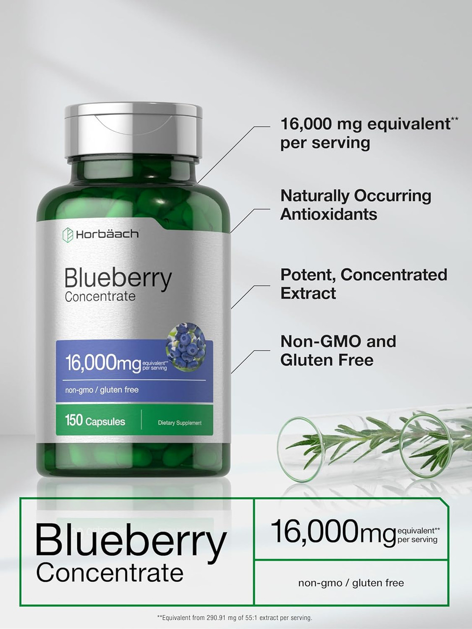 Horbäach Blueberry Extract Supplement | 150 Capsules | Blueberry Concentrate | Non-Gmo, Gluten Free