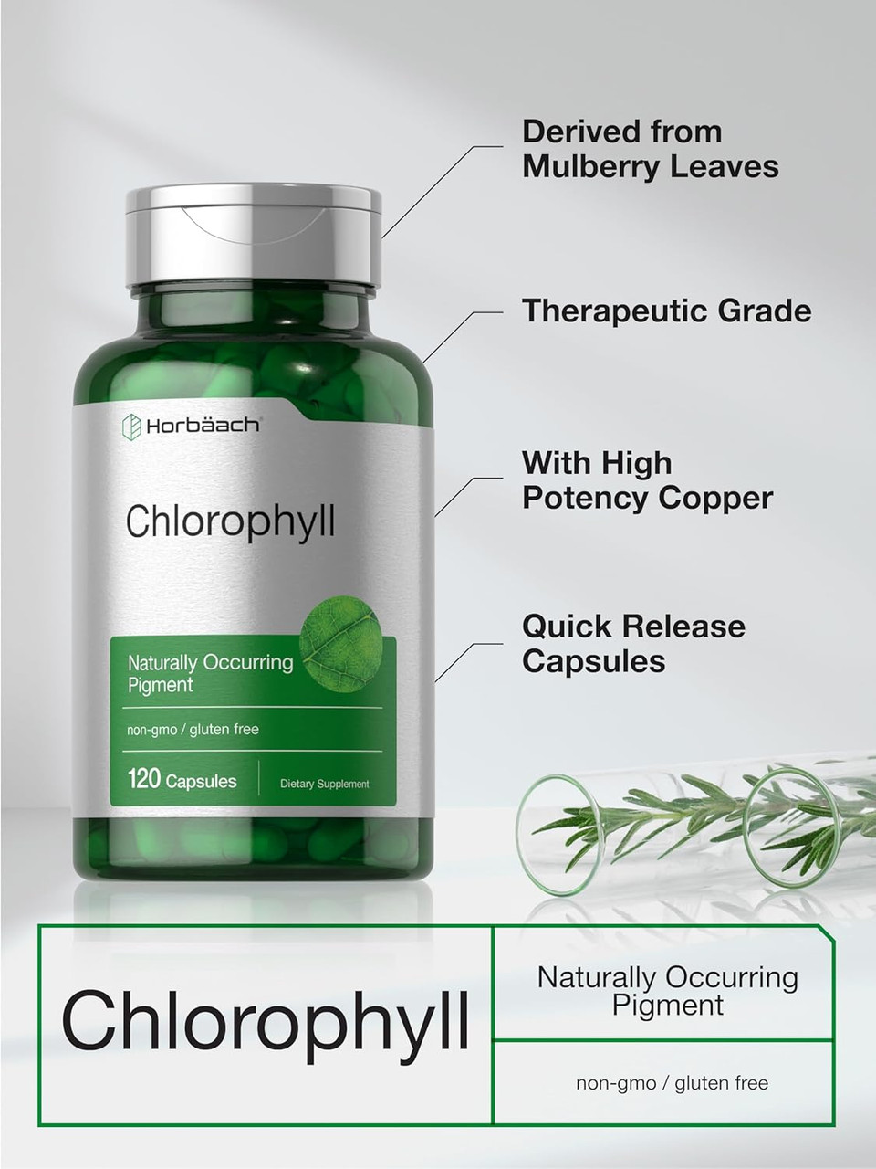 Horbäach Chlorophyll Capsules | 120 Count | Non-Gmo And Gluten Free Supplement | Naturally-Occurring Pigment