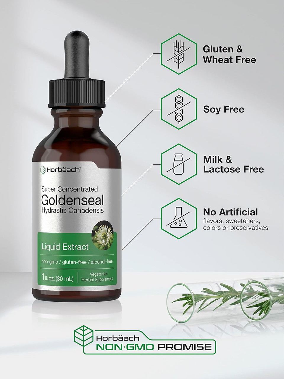 Horbäach Goldenseal Root Tincture | 1 Fl Oz | Liquid Extract Supplement | Hydrastis Canadensis Herb Drops | Alcohol Free | Vegetarian, Non-Gmo, And Gluten Free