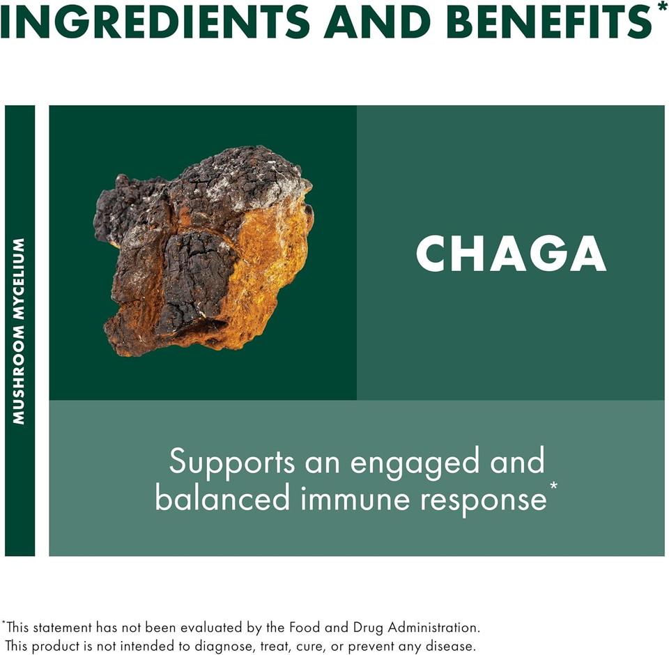 Host Defense Chaga Extract - Immune System Support Supplement - Chaga Mushroom For Antioxidant Activity Support - Liquid Dietary Mushroom Supplement - 2 Fl Oz (60 Servings)