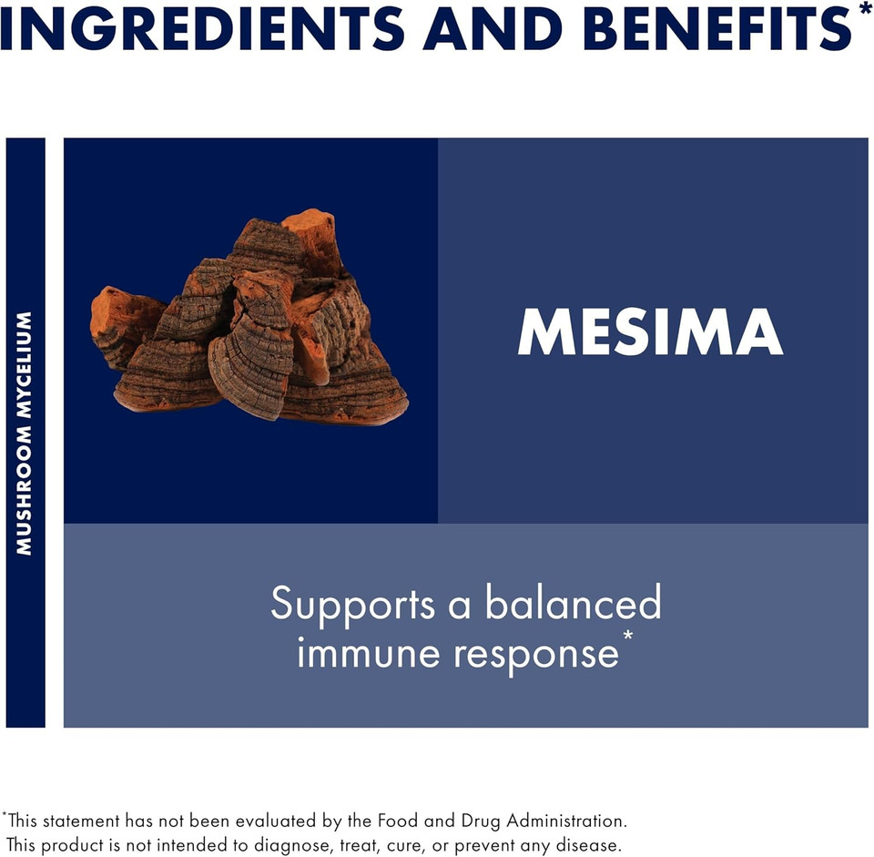 Host Defense Mesima Capsules - Herbal Antioxidant Activity & Immune System Support Supplement - Mushroom Supplement To Support Balanced Immune Response - 60 Capsules (30 Servings)
