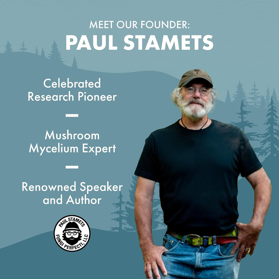 Host Defense Mycobenefits Mood* Capsules - Healthy Mind Support With Lion'S Mane, L-Theanine & Ashwagandha - Relaxing & Calming Supplement - 60 Capsules (30 Servings)