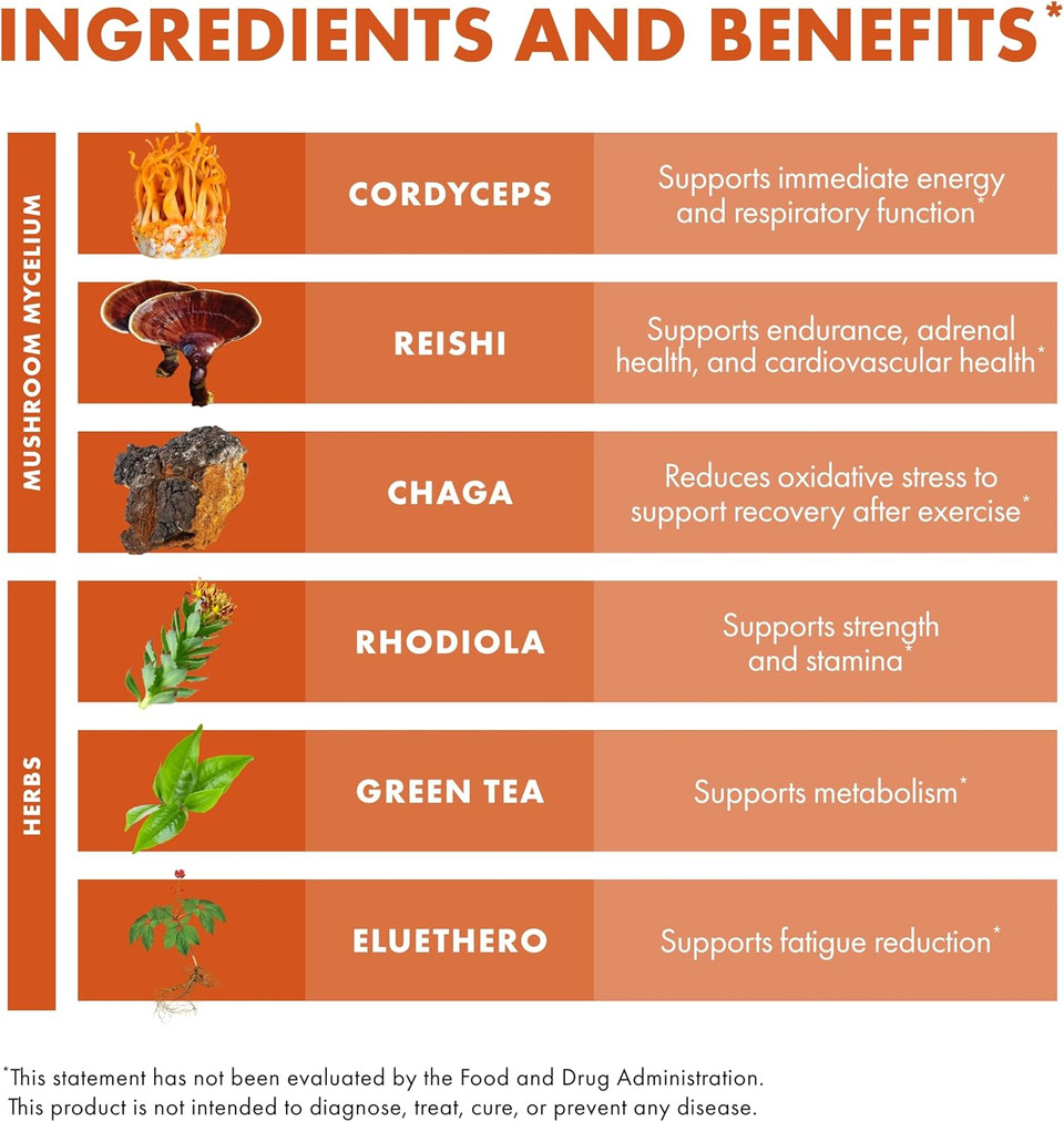 Host Defense Mycobotanicals Energy* Capsules - Energy & Respiratory Support Supplement - Herbal Green Tea Capsules - Respiratory Supplement With Cordyceps, Reishi & Chaga - 60 Capsules (30 Servings)