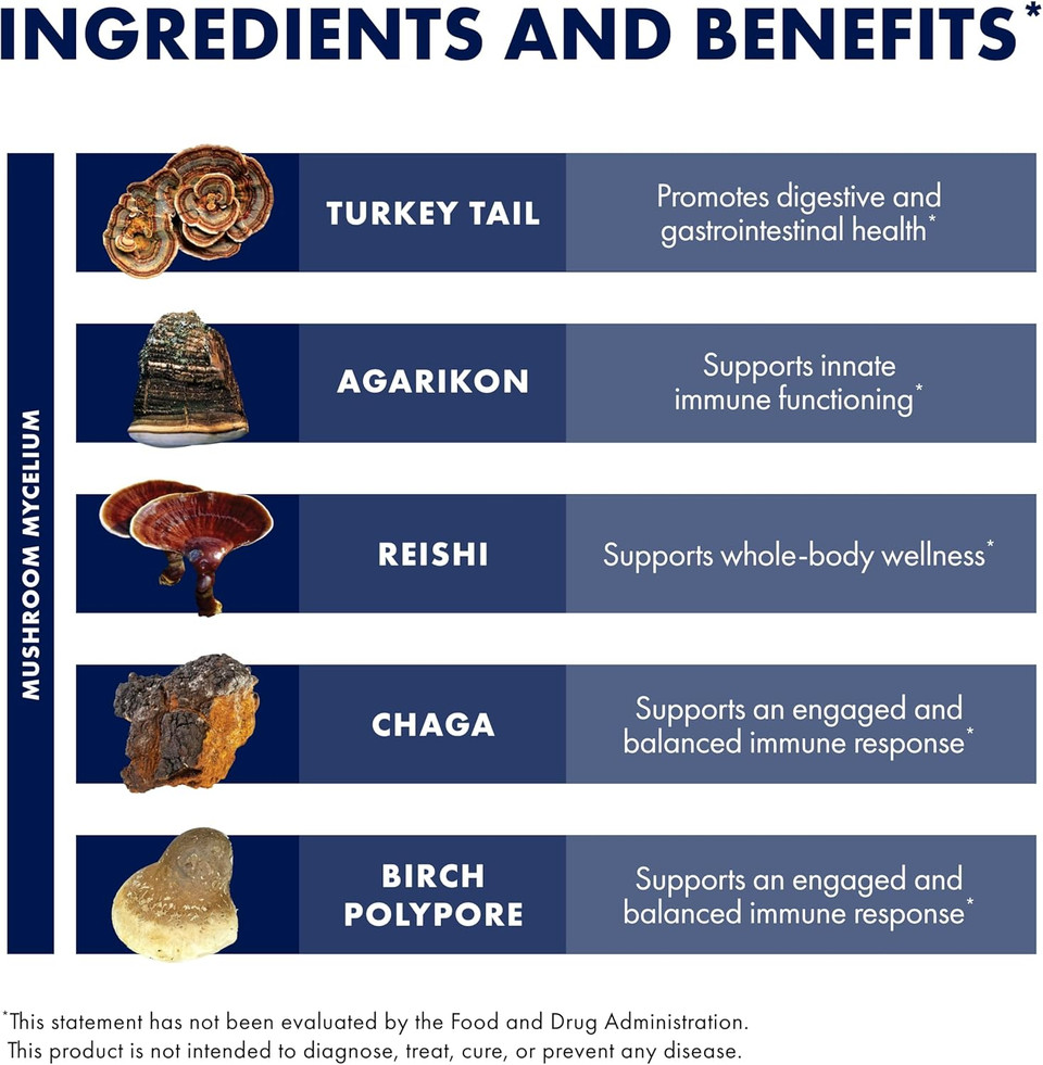 Host Defense Mycoshield Throat Spray - Immune Health Support - Dietary Mushroom Supplement With Chaga, Reishi, Turkey Tail & More - On-The-Go Immune Support - Citrus Flavor, 1 Fl Oz (71 Servings)