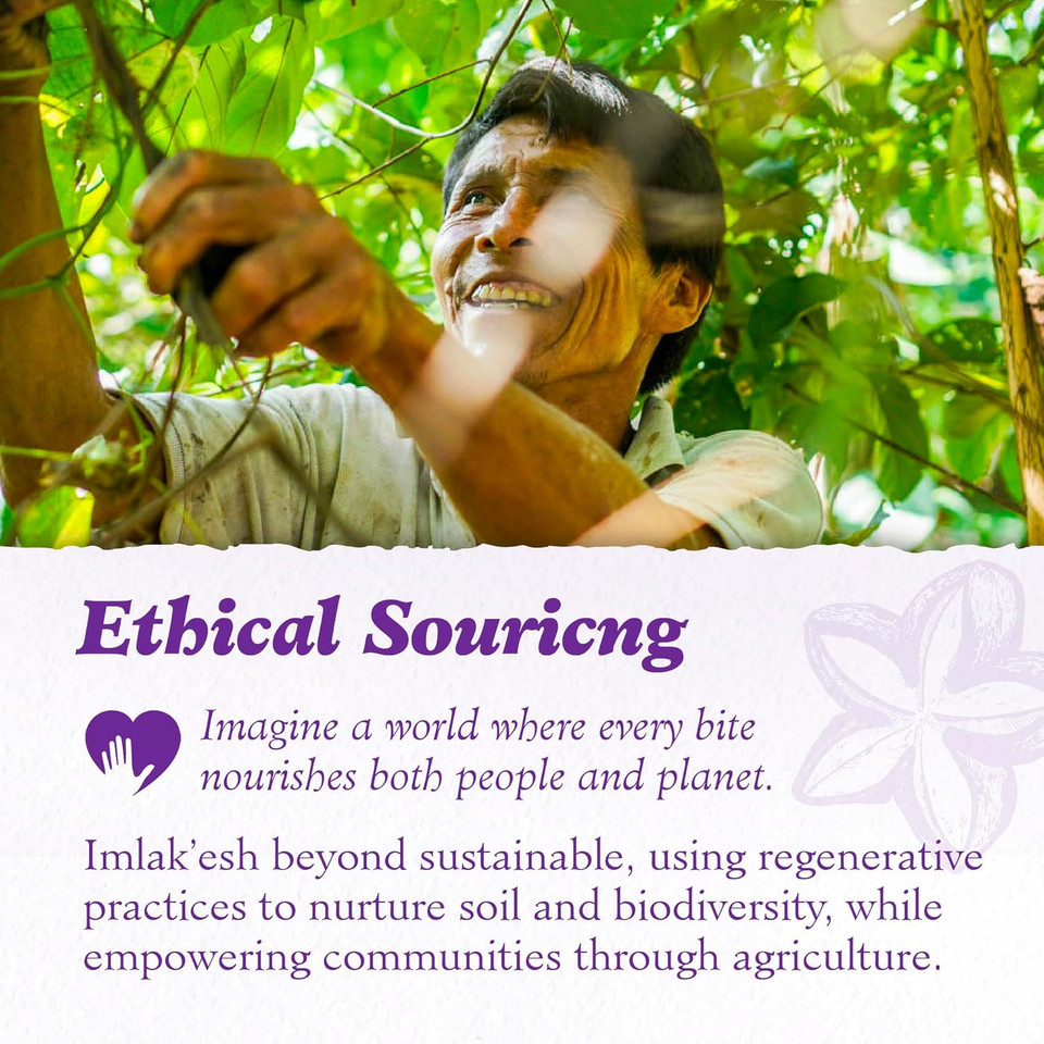 Imlakesh Macambo Beans, Rainforest Nut (12Oz Metal Jar)