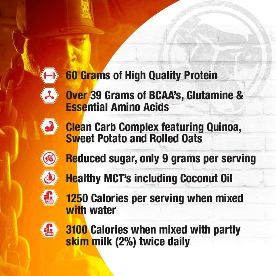 Inter-Active Nutrition Mammoth Mass Supplement, 5 Lbs, Vanilla Fid15319