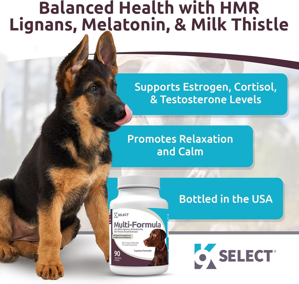 K9 Select Multi-Formula Dog Vitamins For Smaller Dogs - 10Mg Hmr Lignans, 1Mg Melatonin, 20Mg Milk Thistle - Helps Heart, Liver, Digestion, Skin & Coat Health, 90 Tablets, Peanut Butter Flavor
