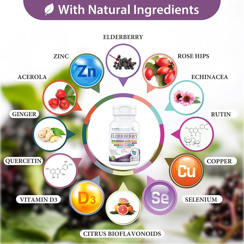 Kappa Nutrition Elderberry / 12 In 1 Advanced Complex (90 Capsules)