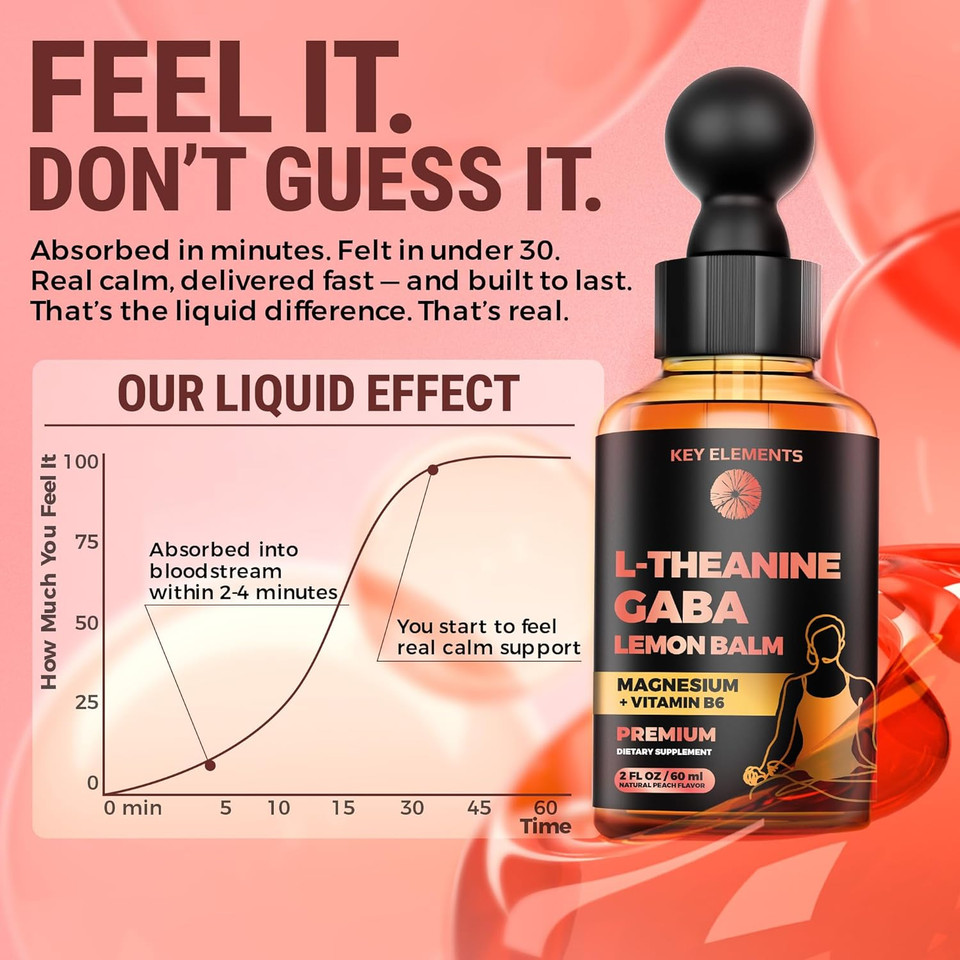 L Theanine And Gaba Supplements | Gaba Calming With Lemon Balm Extract, L-Theanine And Magnesium With B6 | Liquid Gaba L Theanine Supplements | Stress Relief & Relaxation Gaba Drops