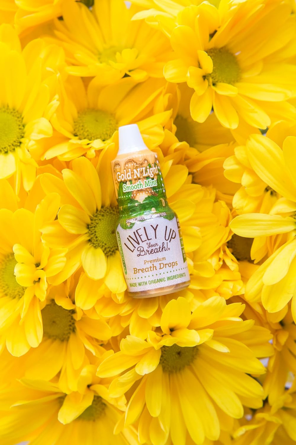 Lively Up - Parent (Luyb_Gldnlt_3Pk3_Fba)