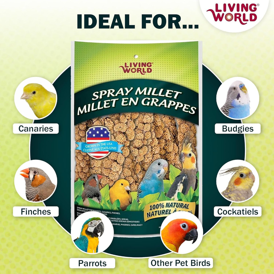 Living World  Millet Spray For Birds, 17.6 Oz  Premium Treat For Budgies, Canaries, Finches, Cockatiels And Other Pet Birds