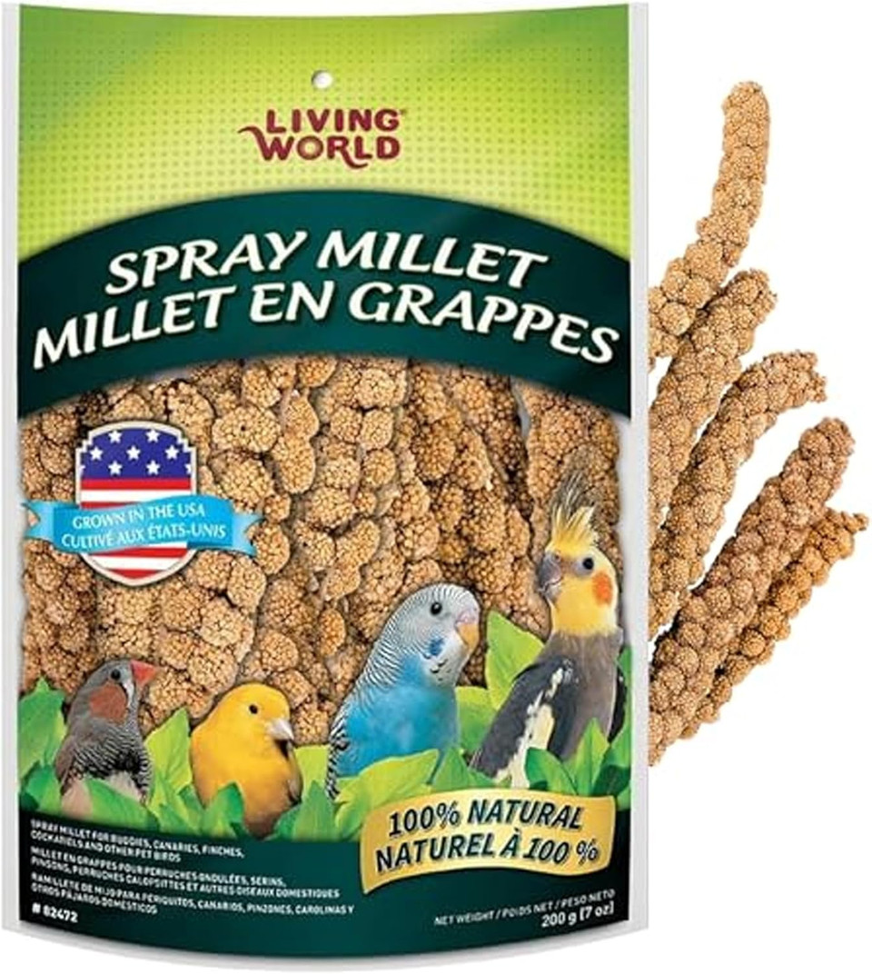 Living World - Millet Spray For Birds, 3.5 Oz  Premium Treat For Budgies, Canaries, Finches, Cockatiels And Other Pet Birds