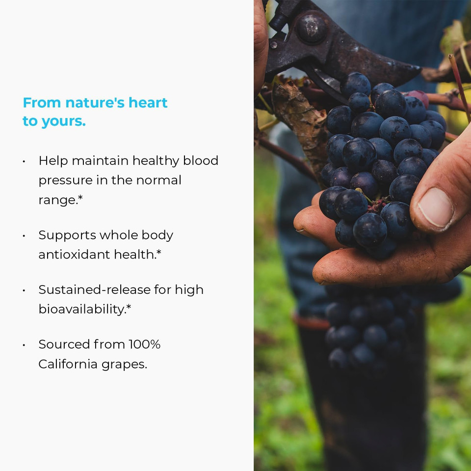 Meganatural Bp, Grape Seed Extract Supplements With Sustained-Release California Grape Seed Extract Herbal Supplements For Optimized Absorption & Supports Energy, 150 Mg, 120 Tablets