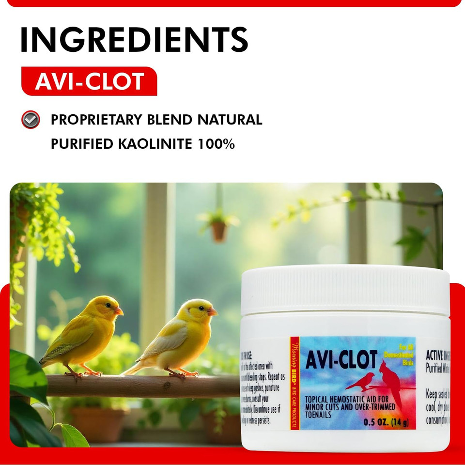 Morning Bird Avi-Clot (Formerly Blood Stop Powder) 0.5 Oz  Fast Bleeding Control For Cuts, Quick Stop Bleeding Powder For Dogs, Small Pets & Over-Trimmed Nail Blood Clotting Powder For Wound Healing