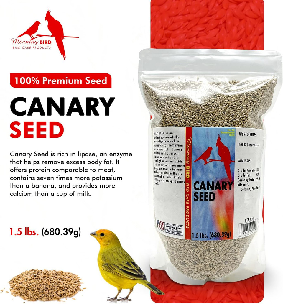 Morning Bird Canary Seed  Nutritional Rich In Vitamins And Supplements For Birds  Ideal For Healthy Feathers And Strong Bones Seed For All Birds Type 1.5 Lbs