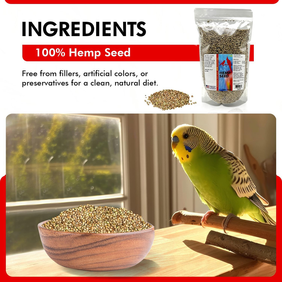 Morning Bird Hemp Seeds  Nutrition Hemp For All Bird Types, Rich In Vitamins And Supplements, Supports Feather Growth And Health  Ideal For Parrots, Canaries, Finches, And More 1.5 Lbs