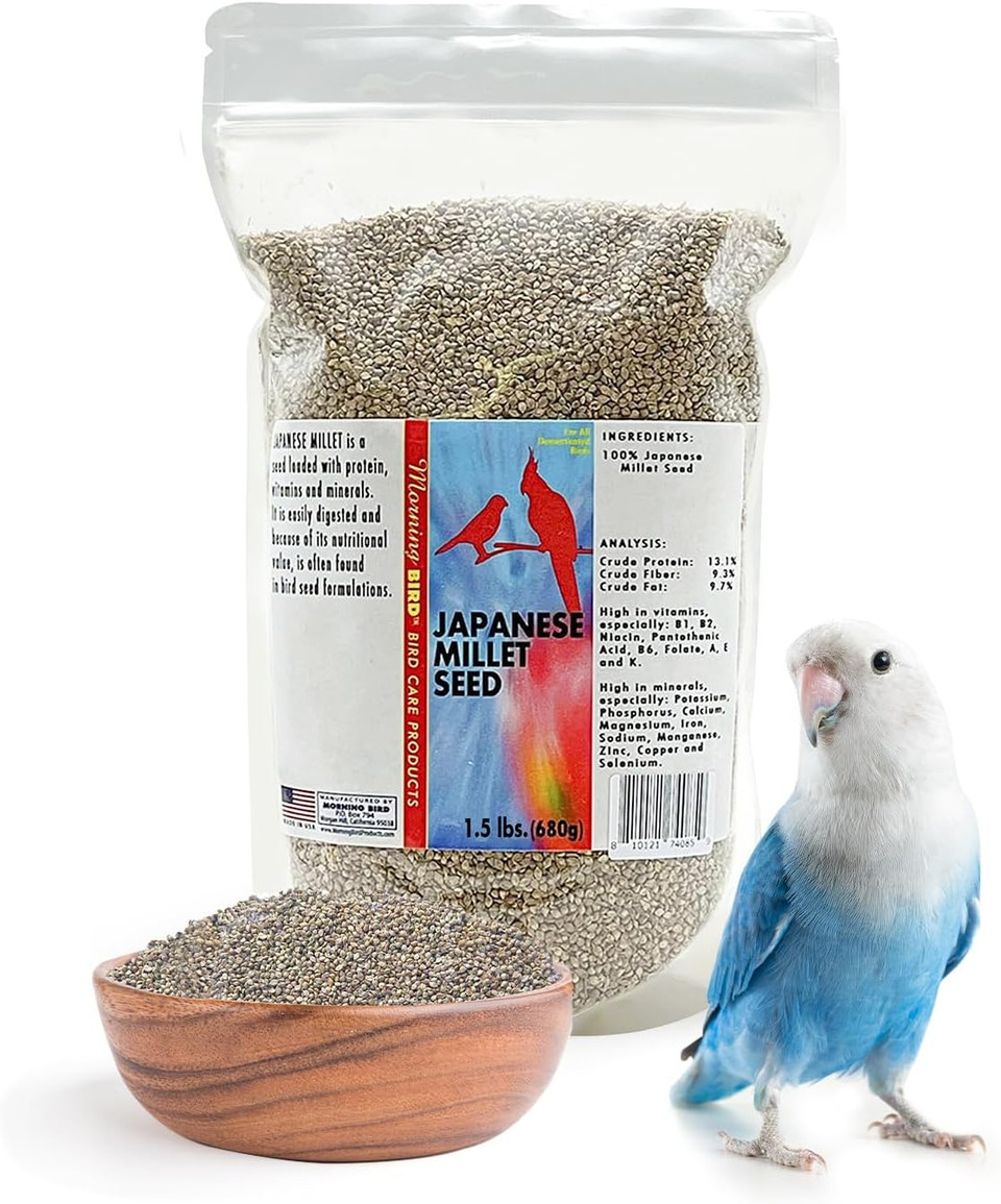 Morning Bird Japanese Millet Seed Bag 1.5 Lbs - Healthy & Nutritious Pet Bird Food To Support Health & Immunity - Rich In Vitamins And Supplements  Ideal Bird Feed For All Seed Eating Birds