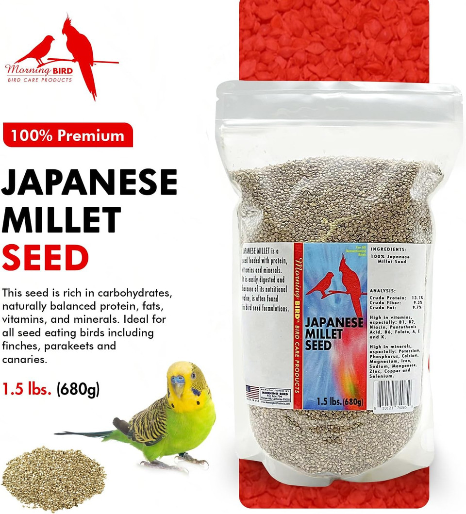 Morning Bird Japanese Millet Seed Bag 1.5 Lbs - Healthy & Nutritious Pet Bird Food To Support Health & Immunity - Rich In Vitamins And Supplements  Ideal Bird Feed For All Seed Eating Birds
