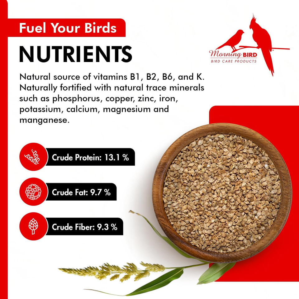 Morning Bird Japanese Millet Seed Bag 1.5 Lbs - Healthy & Nutritious Pet Bird Food To Support Health & Immunity - Rich In Vitamins And Supplements  Ideal Bird Feed For All Seed Eating Birds