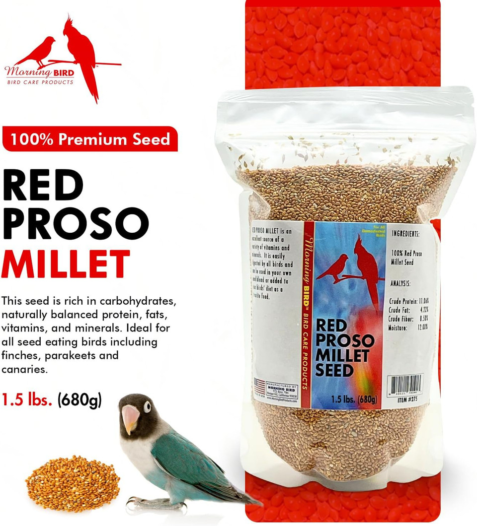 Morning Bird Red Proso Millet Bird Seeds 1.5 Lbs  Healthy & Nutritious Pet Bird Food - Bird Seeds For Feather Growth  Perfect For Finches, Parakeets & Other All Pet Birds