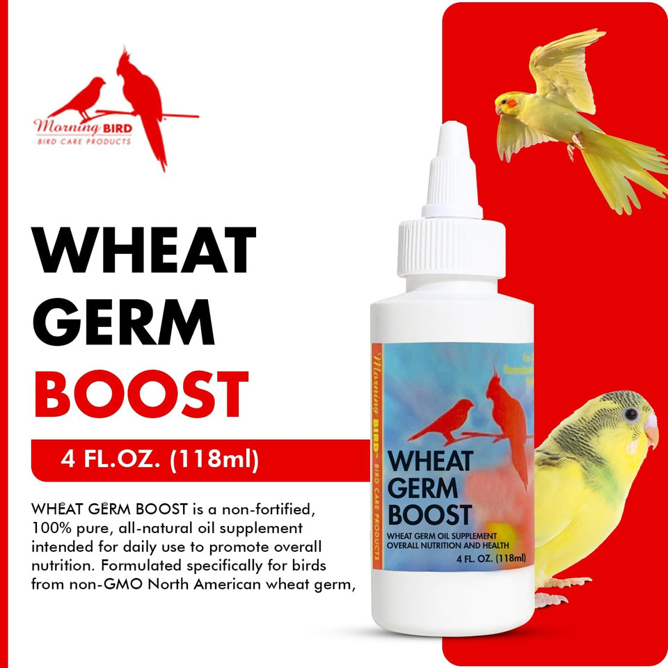 Morning Bird Wheat Germ Boost 4 Fl Oz - Organic Oil For Caged Birds, All Natural Supplement For Parakeets, Budgies, Parrots, Canaries, Conures, Cockatiels, And Finches