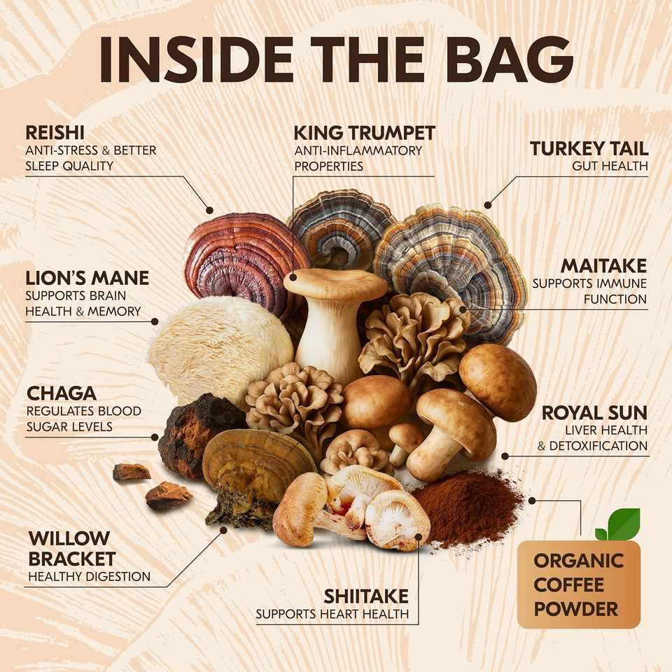 Mushroom Coffee  10 In 1 Instant Coffee Organic Arabica - Cafe De Hongos W/LionS Mane, Turkey Tail, Chaga  Focus, Gut Health, Weight & Immune Support  Low Caffeine, Sugar-Free, Gluten Free 90G