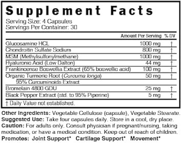 Nature'S Fusions Glucosamine Chondroitin Msm Turmeric Boswellia - Joint Support Supplement - 120 Capsules - Chondroitin Sulfate Capsules - With Hyaluronic Acid - Supports Healthy Bones