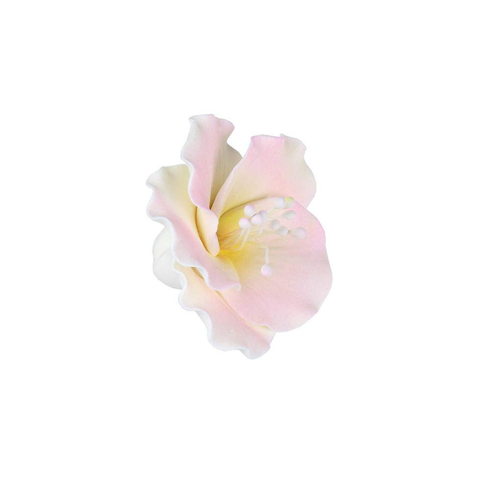 O'Creme Gumpaste White-&-Pink Azalea Flower Set Of 6-2 Inch - Edible Flowers For Cake Decorating - Sugar Paste Flower Decorations For Cakes, Cupcake Toppers - Birthday Party, Wedding, Valentines Day