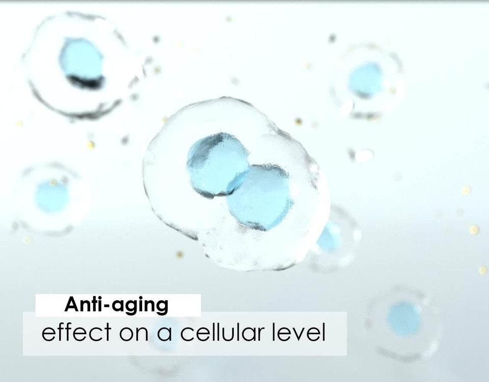 Pharma Nord Bio-Selenoq10 Anti-Aging Supplement| Coq10 100Mg & Selenium 100Mcg | Supports Cellular Health & Longevity | Slows Cellular Aging | Backed By Research | 60 Softgels & 60 Tabs