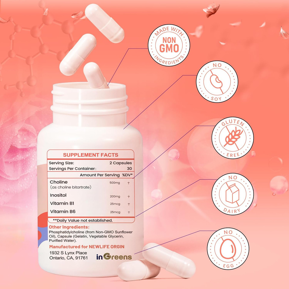 Prenatal Choline Supplement, 500Mg, With Inositol, B1, B6, Brain Development In Utero/Early Life, Increase The Choline Content In Breast Milk,30 Day Supply