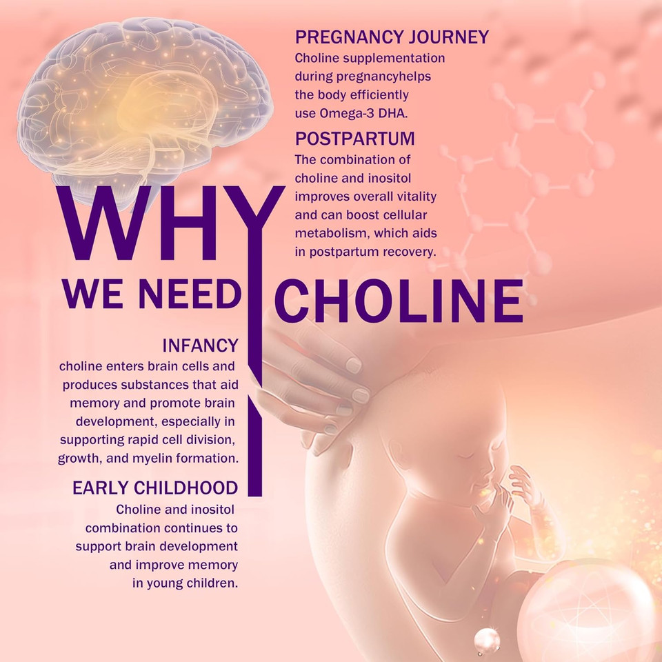 Prenatal Choline Supplement, 500Mg, With Inositol, B1, B6, Brain Development In Utero/Early Life, Increase The Choline Content In Breast Milk,30 Day Supply