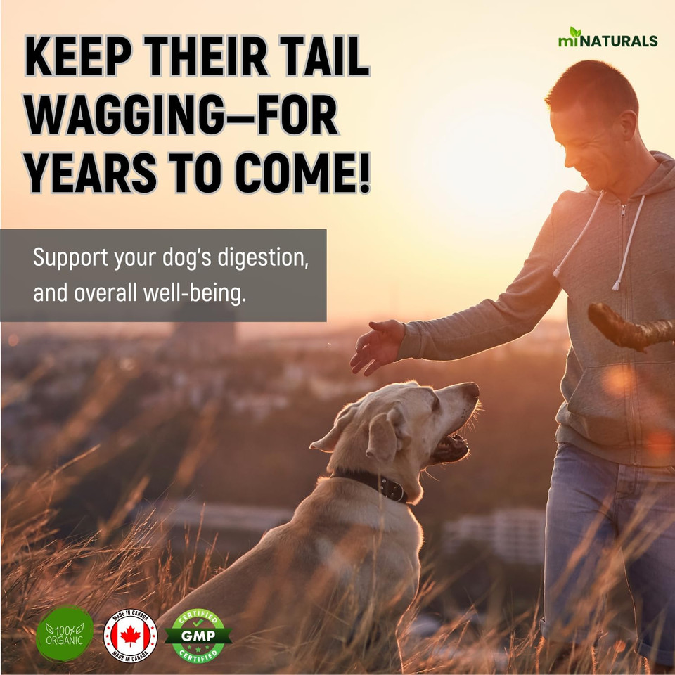 Pumpkin Powder For Dogs Organic 9 Oz (255G) Premium Fibre - Canine Stool & Digestive Support - No Diarrhea Or Scoots! By Minaturals