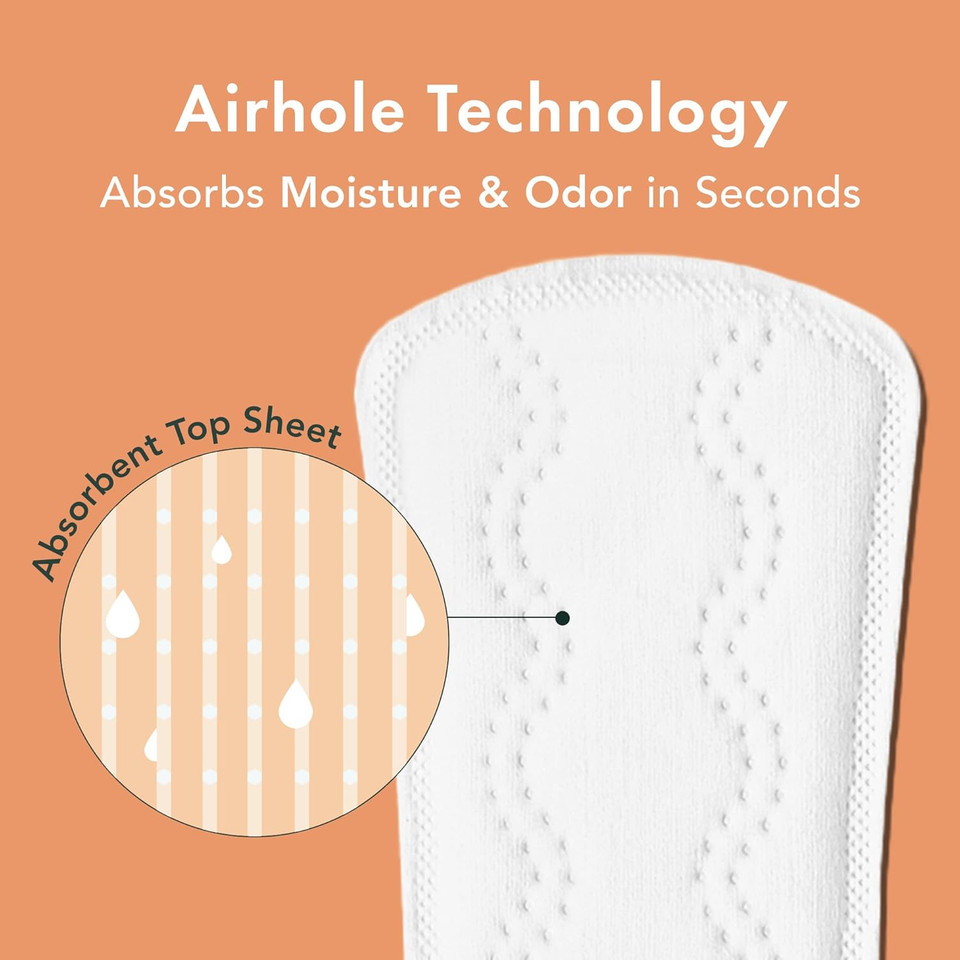 Rael Panty Liners For Women, Organic Cotton Cover - Daily Pantiliners, Light Absorbency, Unscented, Chlorine Free (Micro Thin, 280 Count)