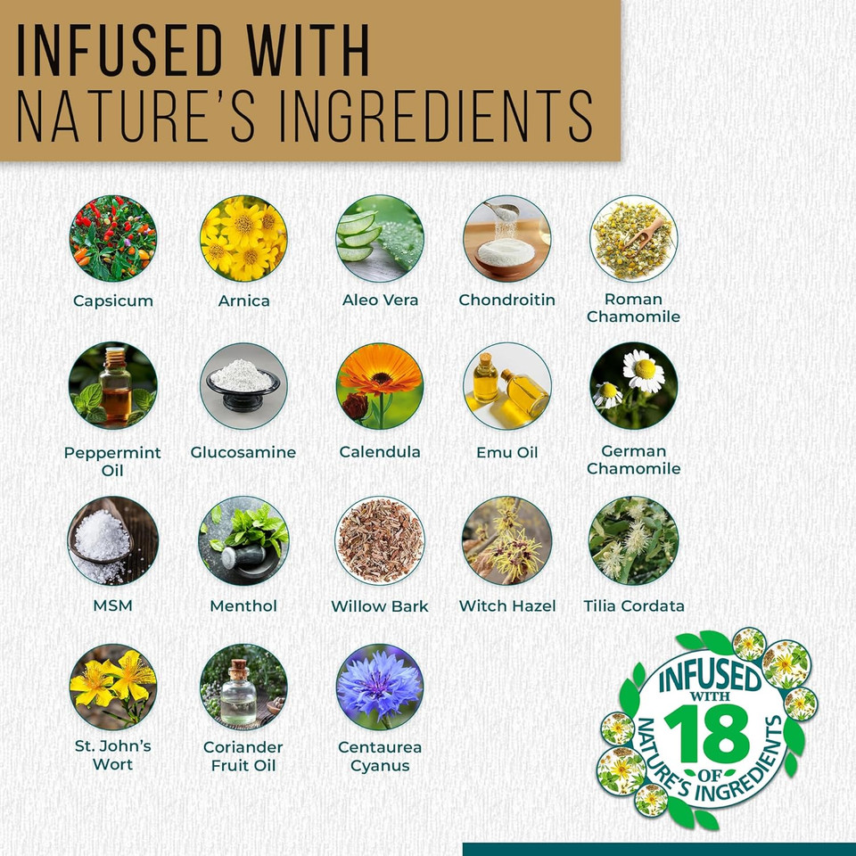 Real Time Pain Relief Maxx 12Oz Bottle | 18 Natural Ingredients: Arnica, Menthol & Peppermint | Maximum Strength Muscle Pain Relief Lotion For Arthritis, Hands, Ankles, Back, Shoulders, Knees & Joints