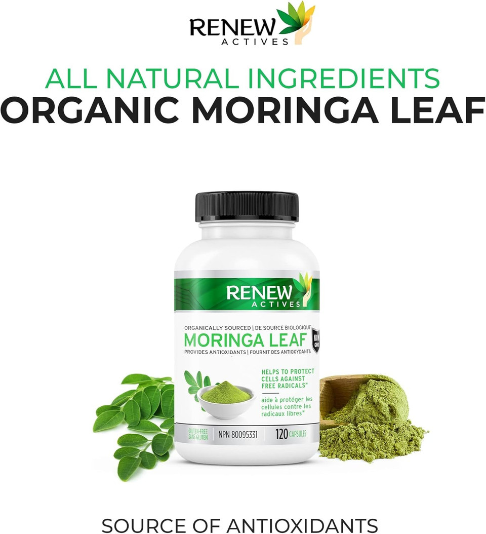 Renew Actives Moringa Leaf Supplement 800Mg Per 2 Capsules- Antioxidant-Rich Moringa Oleifera - Promotes Good Health & Wellness - Easy To Swallow - Made In Canada - 120 Capsules